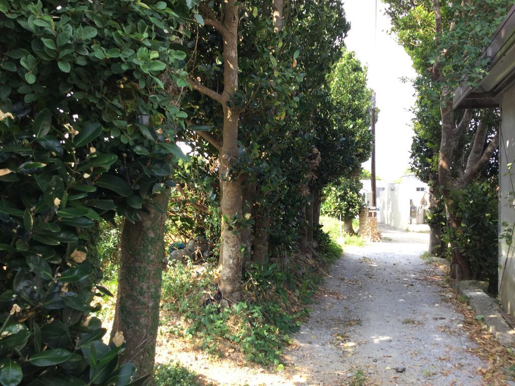 本部 濑底岛卡福村旅馆酒店 外观 照片